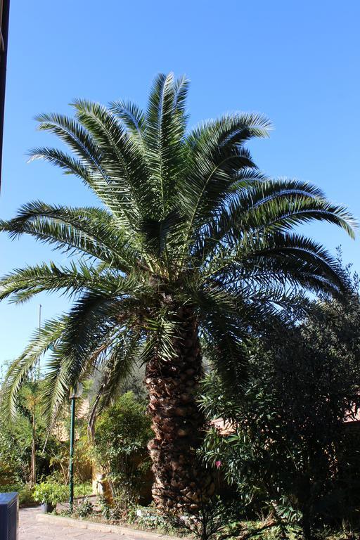 קסטלפיורנטינו Albergo La Pieve מראה חיצוני תמונה