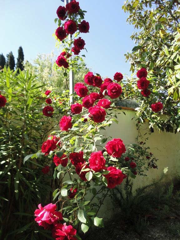 קסטלפיורנטינו Albergo La Pieve מראה חיצוני תמונה